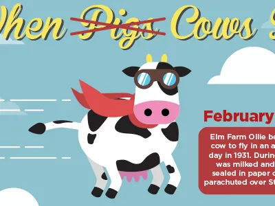 When Cows Fly cow flight fly goggles illustration scarf