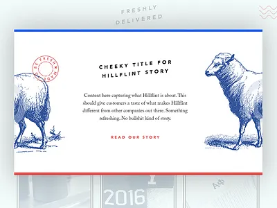 Hillflint Web Design Concept client concept e commerce fashion freelance hillflint startup web design