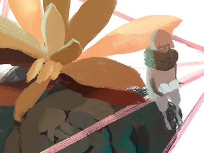 Terrarium 2 illustration succulents terrarium