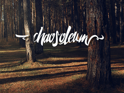 Chaosoleum calligraphy lettering type typeface typography
