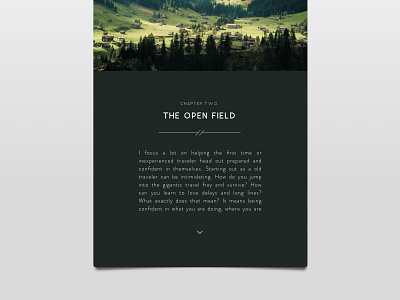 the open field dark green grey nature ui