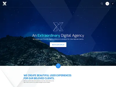 We are Extraordinary! business development landing page portfolio web