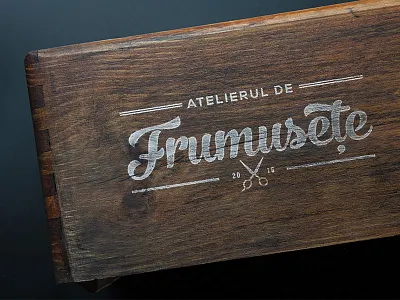 Logo: Atelierul de frumusețe branding calligraphy design hair salon handlettering logo logo design