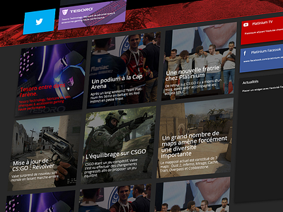 Platinium Redesign - Home Page UI didier esport laureaux page platinium red team webdesign