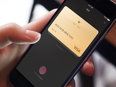 Pay card checkout pay touch id