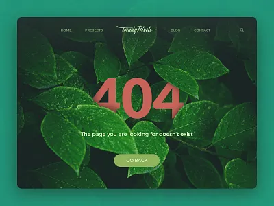 Experiment: 404 Error Page 404 button css error experiment html landing overlay page trendy