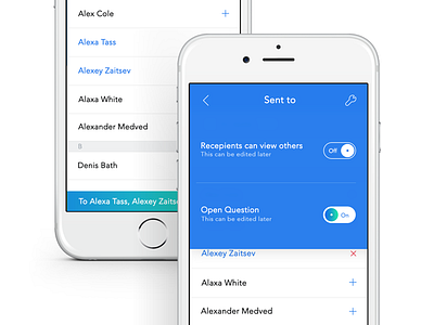 Survey App data graphs ios list no question settings survey users yes