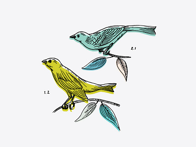 Perched Vintage Birds audubon audubon birds bird bird illustration figure illustration leaf leaves mustard teal vintage vintage bird