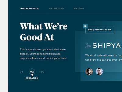 Why Envy Styles blue calibre case study data gradient icon navigation opacity tiempos