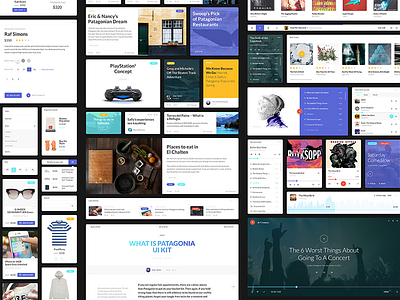 Patagonia UI KIT blue e commerce ecommerce eshop fashion forms input light style ui uikit webdesign