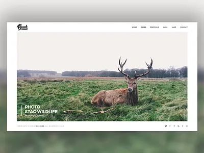 Photography Vintage Wordpress logo photo photography theme wordpress