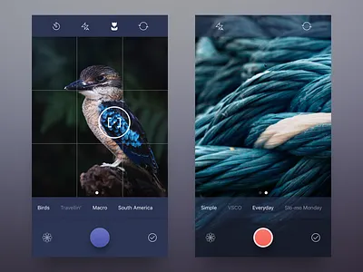 Camera for Pixty app capture ios ipad iphone photo streams