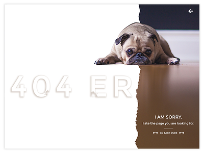404 Error 404 dailyui error found missing not page