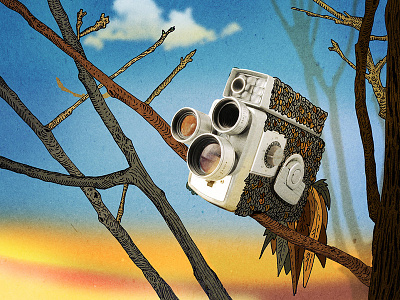 Surveillance camera humor illustration old parrot photography vintage