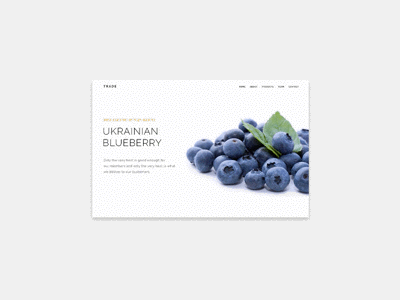 Principle Animation animation carousel download free freebie fruits gif honey nuts principle slides web