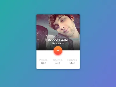 Profile Card designer profile card rimini roccano ui
