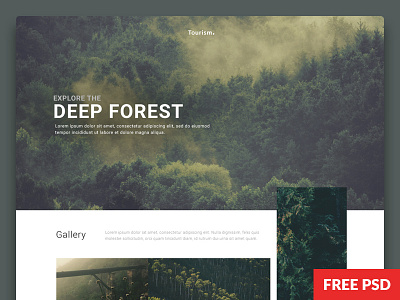 Webby - The PSD For Everyone design download free portfolio psd tourism web design webby