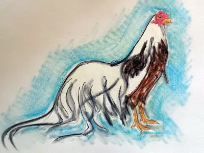 Fancy Bird chalk chicken cockerel illustration pastel