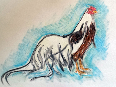 Fancy Bird chalk chicken cockerel illustration pastel