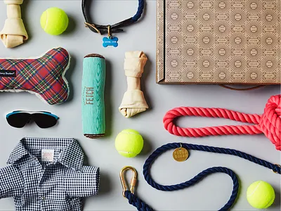 Pup Club box club dogs packaging pattern pup trunk club