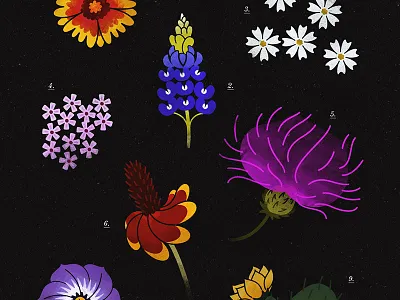 Wild austin flowers illustration texas texture wildflowers wip