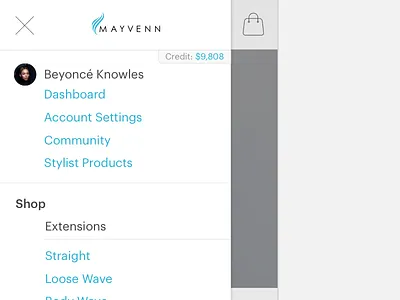 Mobile Navigation mobile navigation