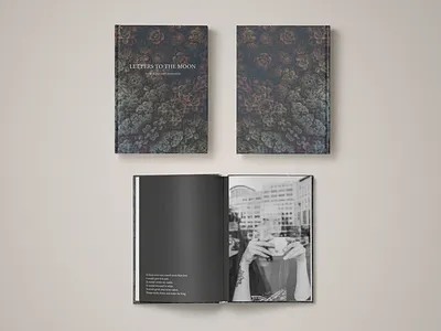 Letters to the Moon Publication book photo photos poem poems project publication teaser
