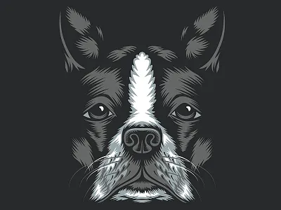 Golden Doodle Goods™ - Boston Terrier Illustration animal boston terrier dogs golden doodle goods illustration shirt design