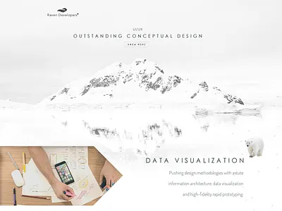 Raven Developers css html interface responsive ui ux webdesign website white