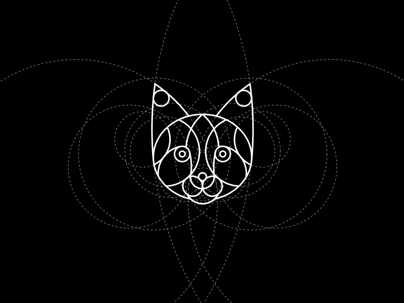 Different Animals animal animation cat design dog gif illustration koala line owl round sheep