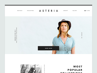 Homepage collections fashion gallery grid homepage landing page photo space web website