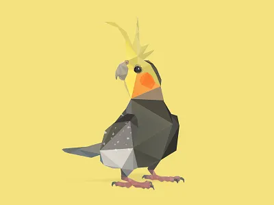 Cockatiel. animals bird birds cockatiel illustration low poly low polygon photoshop ui vector vector art