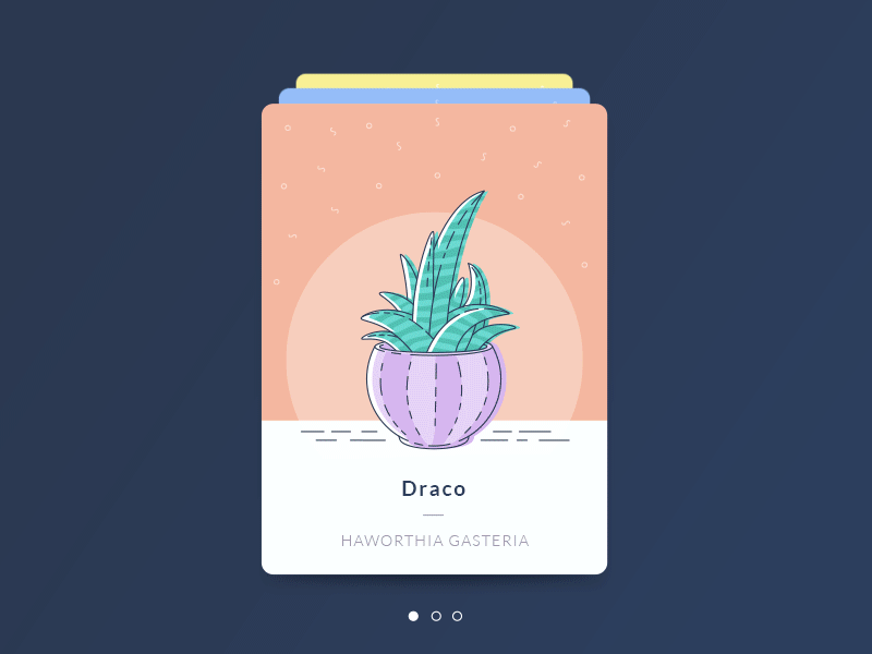 Cactus animation cactus cards colors line art plant pot succulent widget