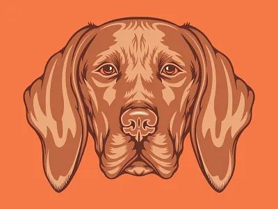 Vizsla Illustration for Golden Doodle Goods™ animal animal lover artwork brand dog illustration mans best friend pet puppy tee vector vizsla