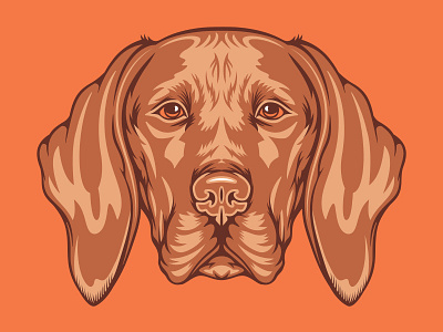 Vizsla Illustration for Golden Doodle Goods™ animal animal lover artwork brand dog illustration mans best friend pet puppy tee vector vizsla