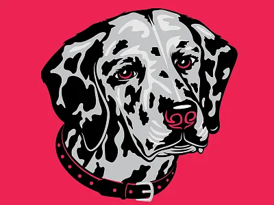 Dalmatian Illustration for Golden Doodle Goods™ dalmatian dog fire firedog firestation golden doodle goods illustration pet pup puppy spotted vector