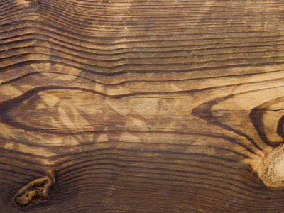 Post Card 3d ae animation debut motion post card wood