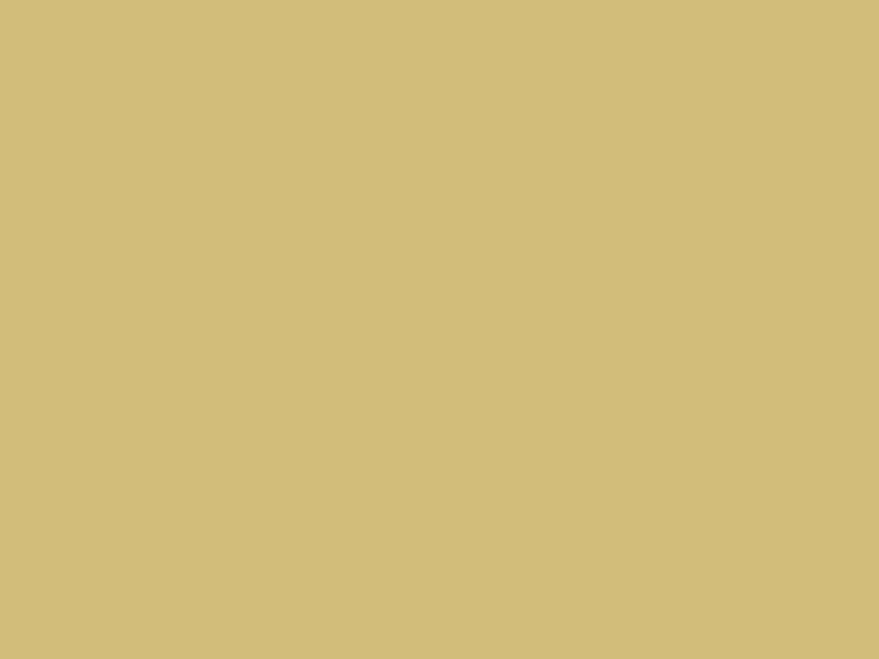 New Portfolio animation fresh gold landing particles ux white