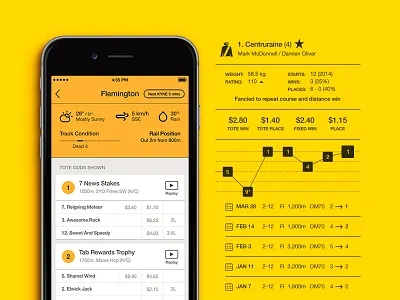 Racing.com dashboard ios mobile sport ui