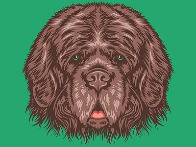 Newfoundland for Golden Doodle Goods™ animal artwork brand dogs golden doodle illustration mans best friend vector newfoundland pet puppy