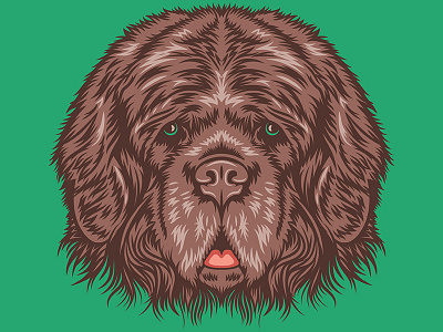 Newfoundland for Golden Doodle Goods™ animal artwork brand dogs golden doodle illustration mans best friend vector newfoundland pet puppy