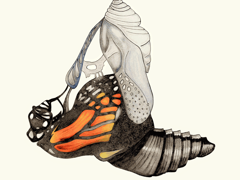 Emergence changling chrysalis drawing graphite ink metamorphosis pencil sketching