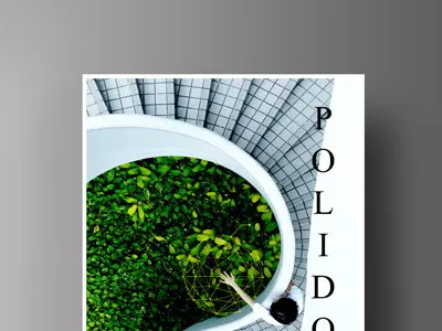 Poster Design design graphic poster print