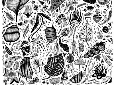 alien flora drawing leaf line micron plants pod seed vegetation