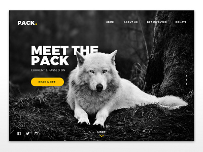 Pack. layout navigation pack site ui ux web wolf