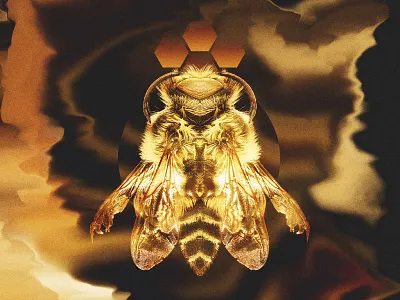 For the queen. bee bug collage geometric hexagon honey illustration insect nature wings