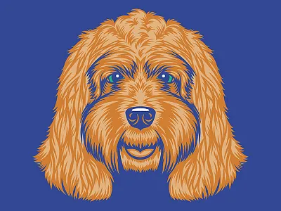 Cockapoo Illustration for Golden Doodle Goods™ animal apparel cockapoo dog dog illustration dog lover golden doodle goods illustration puppy shirt design