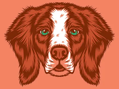 Brittany Illustration for Golden Doodle Goods™ animal apparel brittany brittany dog dog dog illustration dog lover golden doodle goods illustration puppy shirt design