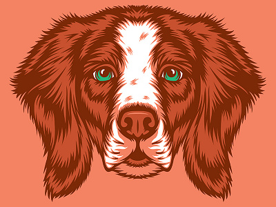 Brittany Illustration for Golden Doodle Goods™ animal apparel brittany brittany dog dog dog illustration dog lover golden doodle goods illustration puppy shirt design