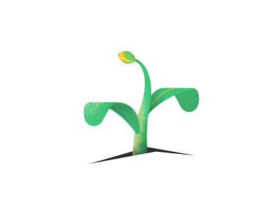 Bud brushes bud flower grow illustration illustrator vector